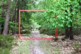 Promenons nous dans les bois 52 * 5184 x 3456 * (10.91MB)